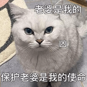 图片[1]-别碰我老婆-喜欢表情包分享—全网表情包