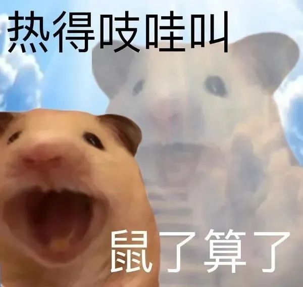 图片[15]-你的宝宝出现-喜欢表情包分享—全网表情包