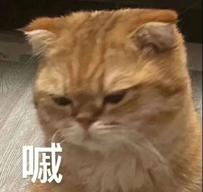 图片[19]-表情包-喜欢表情包分享—全网表情包