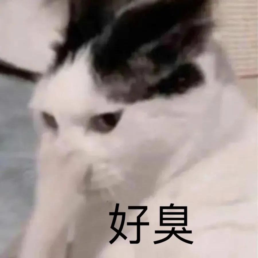 图片[24]-沙雕表情包-喜欢表情包分享—全网表情包