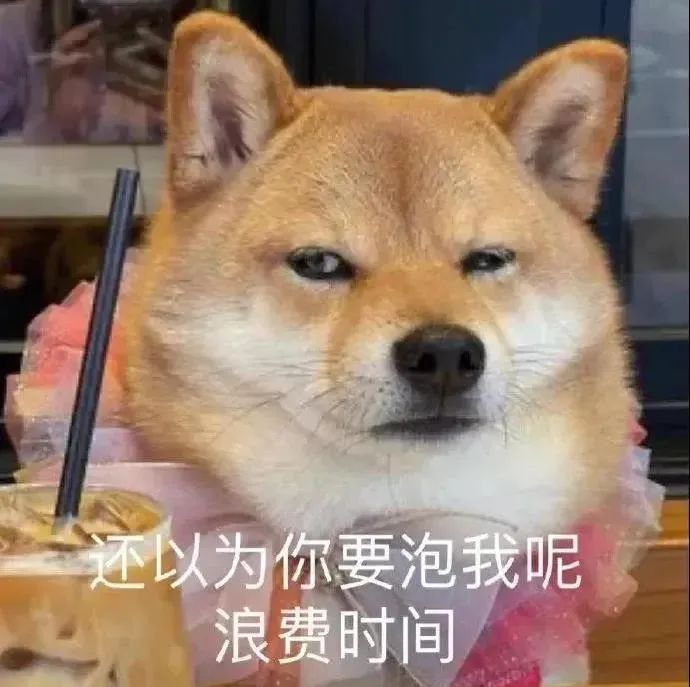 图片[11]-表情包-喜欢表情包分享—全网表情包