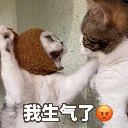 图片[7]-“被男友在公共场合摸胸，强行扒开衣服…"-喜欢表情包分享—全网表情包