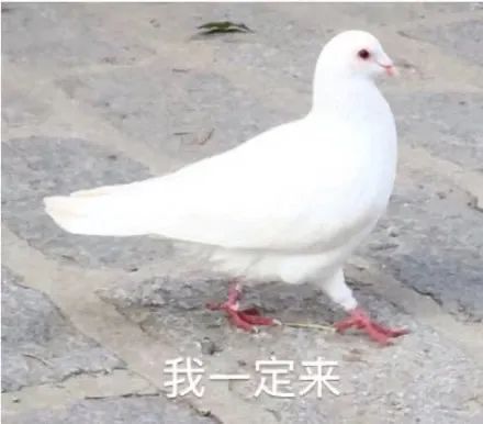 图片[2]-家人们端午安康~-喜欢表情包分享—全网表情包