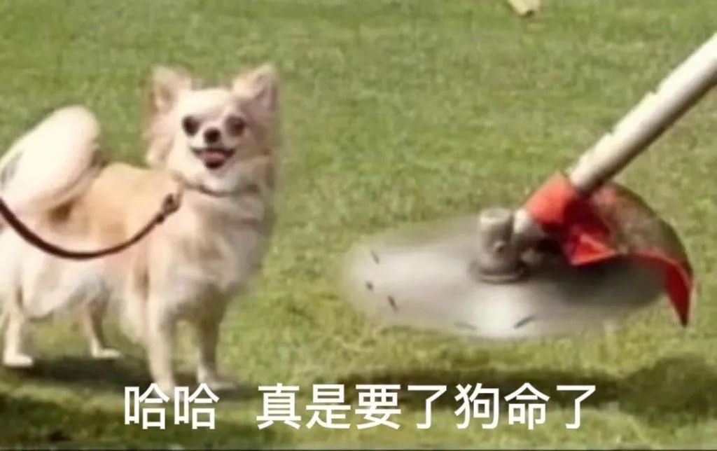 图片[15]-野啊宝贝-喜欢表情包分享—全网表情包