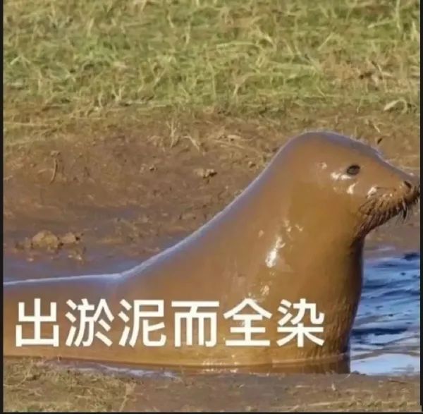 图片[8]-奇怪的表情增加了-喜欢表情包分享—全网表情包