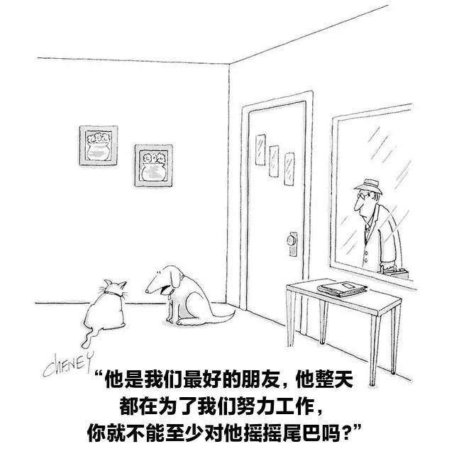 图片[1]-今日份沙雕图-喜欢表情包分享—全网表情包