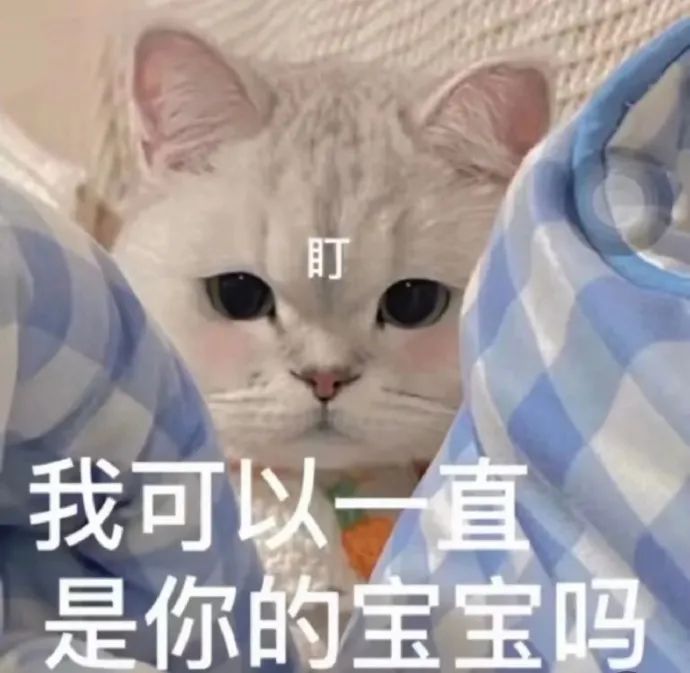 图片[21]-表情包-喜欢表情包分享—全网表情包