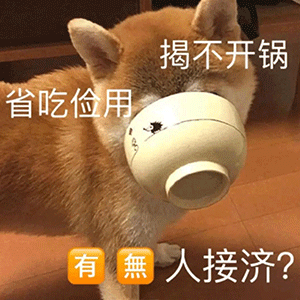 图片[45]-可爱到爆的表情包-喜欢表情包分享—全网表情包