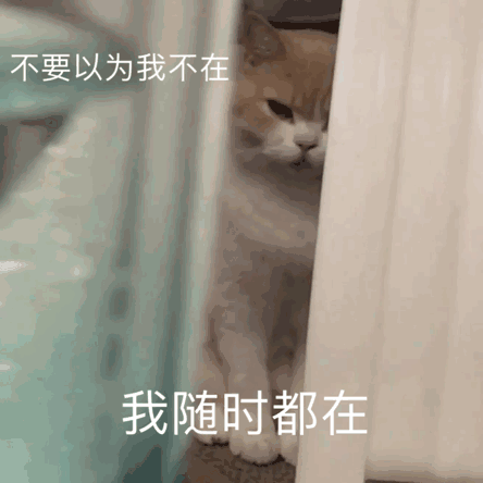 图片[3]-一整个被尬住-喜欢表情包分享—全网表情包