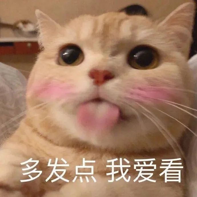 图片[16]-我继续出去鬼混了-喜欢表情包分享—全网表情包