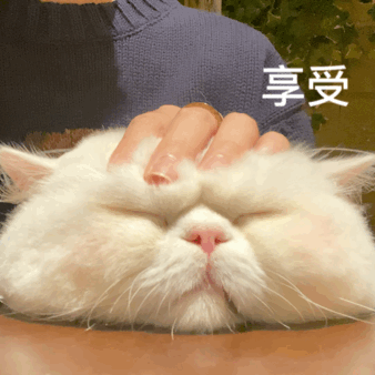 图片[24]-你们要的冰墩墩超火表情包-喜欢表情包分享—全网表情包