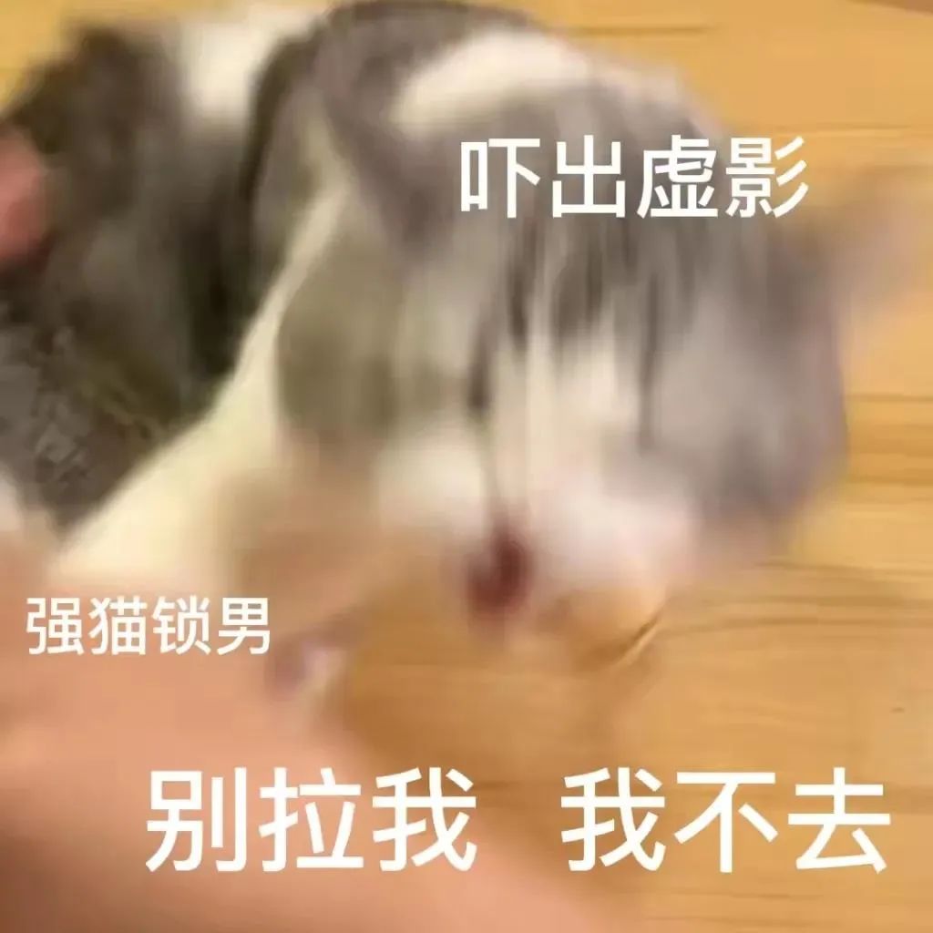 图片[10]-我能和你用情侣头像吗-喜欢表情包分享—全网表情包