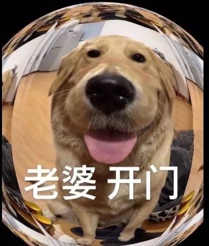 图片[7]-老婆开门-喜欢表情包分享—全网表情包