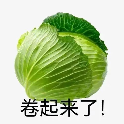 图片[21]-栓 Q 您嘞-喜欢表情包分享—全网表情包