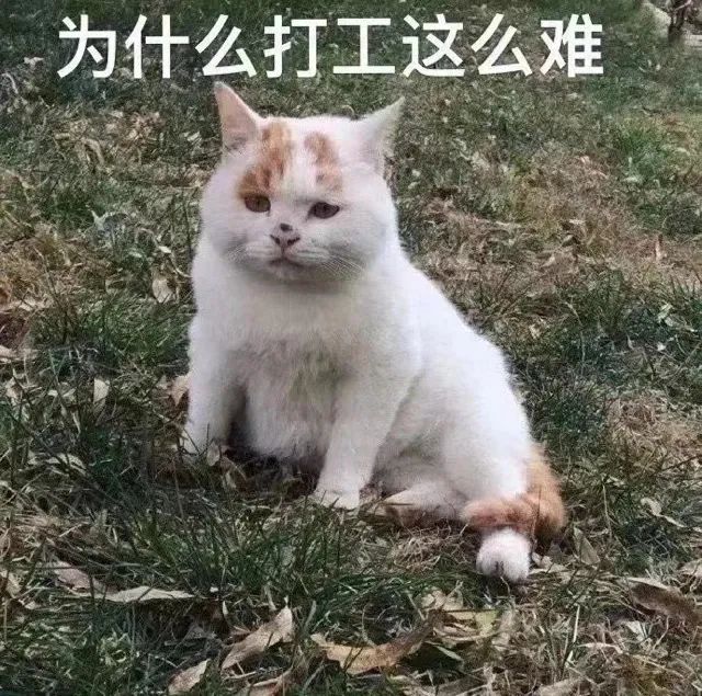 图片[9]-指指点点-喜欢表情包分享—全网表情包