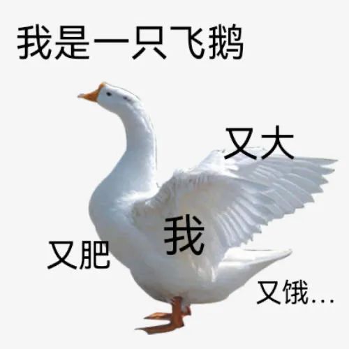 图片[10]-挖嘞个亲娘-喜欢表情包分享—全网表情包