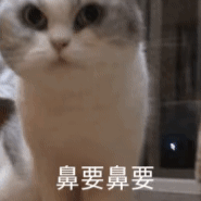 图片[13]-表情包-喜欢表情包分享—全网表情包