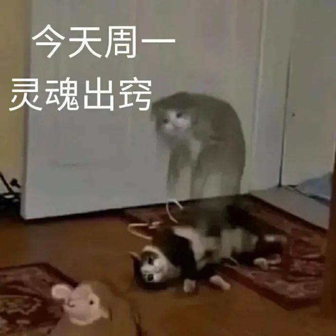 图片[2]-我真的谢-喜欢表情包分享—全网表情包