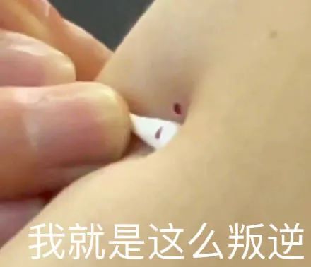 图片[4]-爷鬼混回来了-喜欢表情包分享—全网表情包