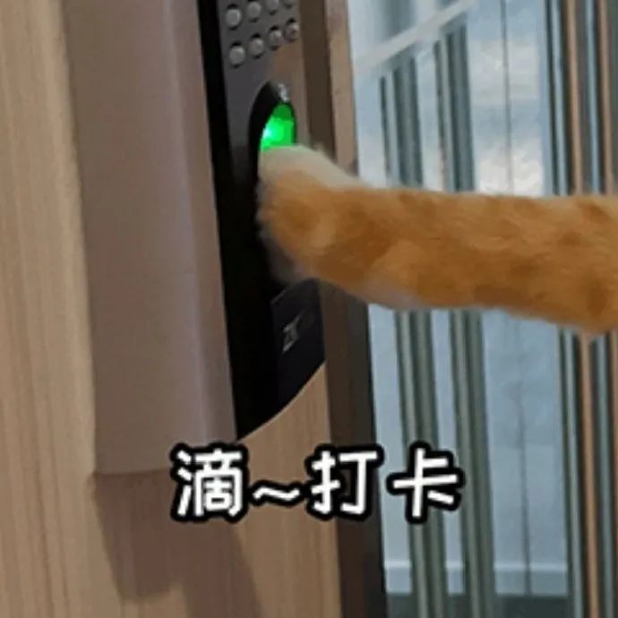 图片[11]-表情包 | 报告，今天有点想你-喜欢表情包分享—全网表情包