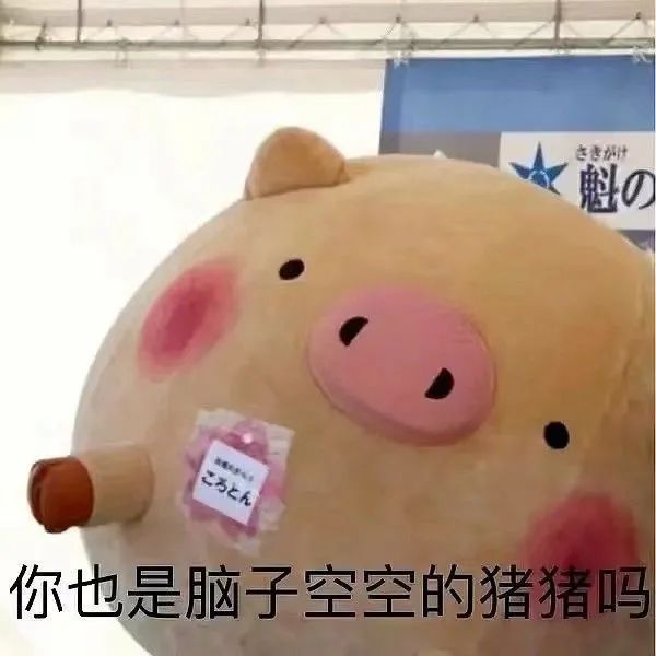 图片[3]-表情包-喜欢表情包分享—全网表情包