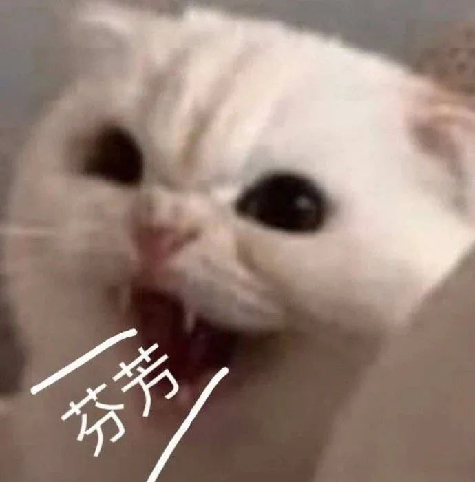 图片[16]-有空一起尿尿-喜欢表情包分享—全网表情包