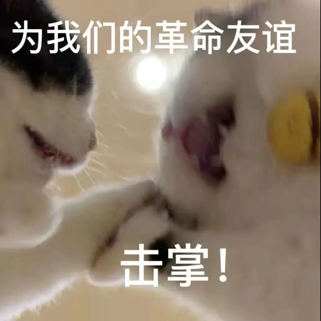 图片[9]-我能和你用情侣头像吗-喜欢表情包分享—全网表情包