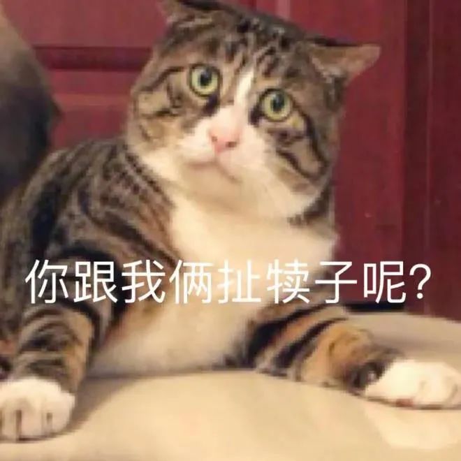 图片[11]-拿撸路多-喜欢表情包分享—全网表情包