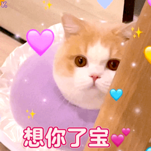 图片[31]-你们要的冰墩墩超火表情包-喜欢表情包分享—全网表情包