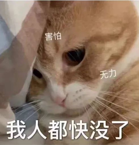 图片[15]-有没有女孩子一起过圣诞节-喜欢表情包分享—全网表情包
