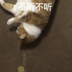 图片[17]-表情包-喜欢表情包分享—全网表情包