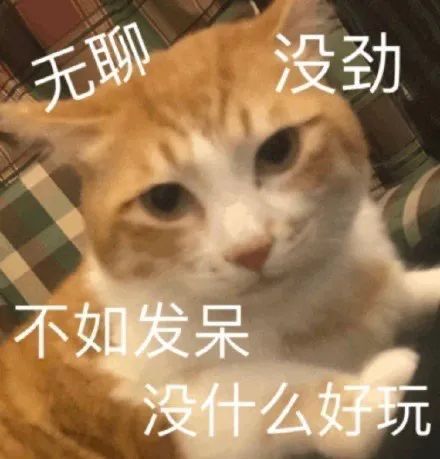 图片[16]-变着花的菜-喜欢表情包分享—全网表情包