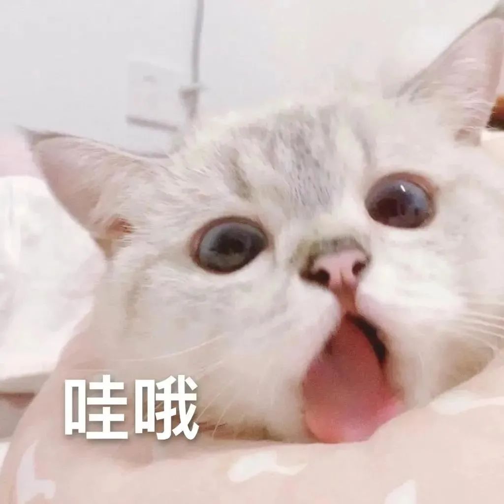 图片[27]-我能和你用情侣头像吗-喜欢表情包分享—全网表情包