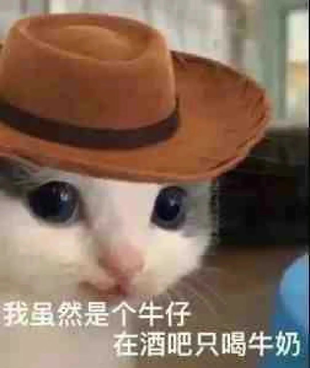图片[11]-表情包-喜欢表情包分享—全网表情包
