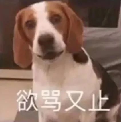 图片[13]-拿撸路多-喜欢表情包分享—全网表情包