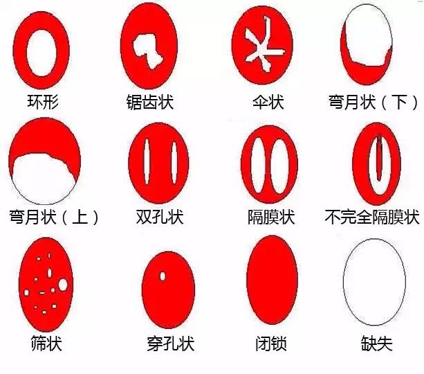 图片[7]-女朋友说她是第一次，但没流血？-喜欢表情包分享—全网表情包