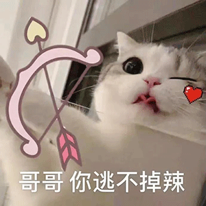 图片[1]-有黑丝吗-喜欢表情包分享—全网表情包