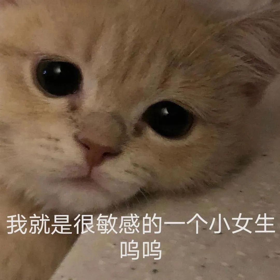 图片[14]-有一点骚yyds-喜欢表情包分享—全网表情包