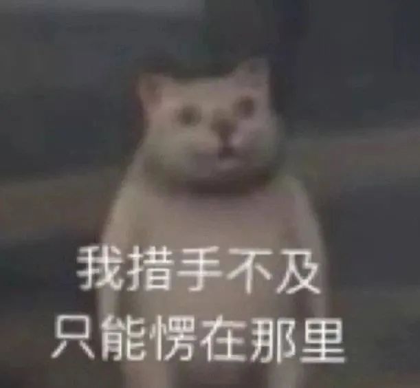 图片[4]-变着花的菜-喜欢表情包分享—全网表情包