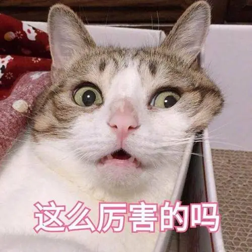 图片[9]-女生红着脸也要看完的阴道小知识（男生勿入）-喜欢表情包分享—全网表情包