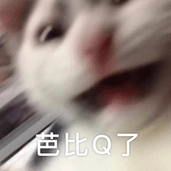图片[11]-有一点骚yyds-喜欢表情包分享—全网表情包