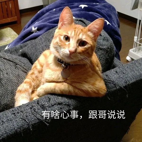 图片[21]-表情包-喜欢表情包分享—全网表情包