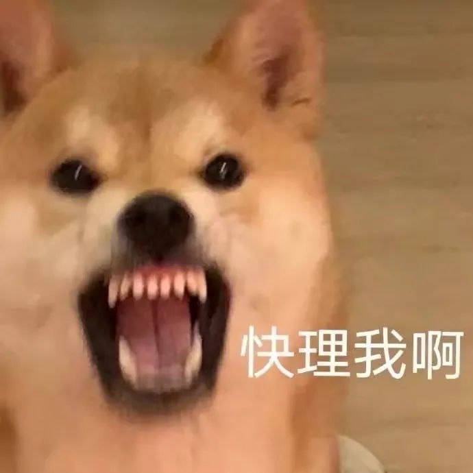 图片[3]-哦不可以色色-喜欢表情包分享—全网表情包