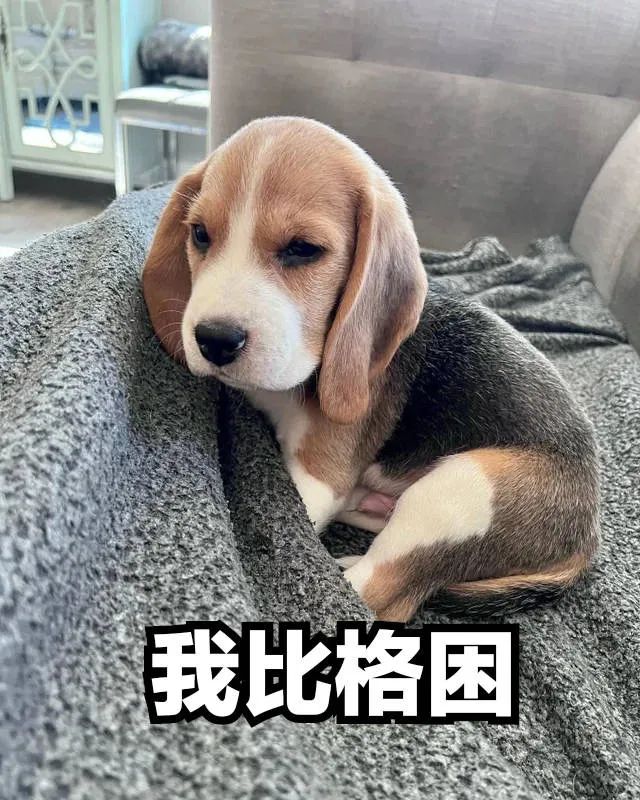 图片[21]-你是不是想亲我-喜欢表情包分享—全网表情包