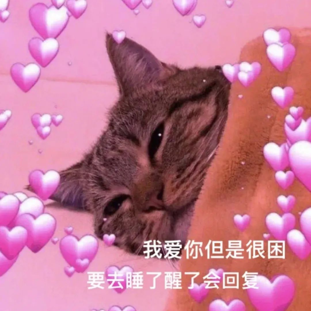 图片[20]-周末好！收图时间到-喜欢表情包分享—全网表情包