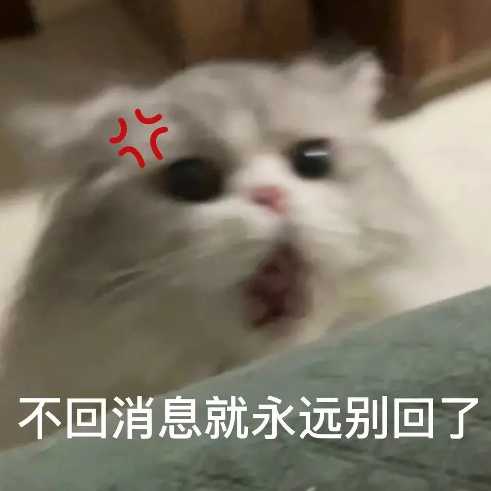 图片[3]-就你，给我看看你腹肌-喜欢表情包分享—全网表情包