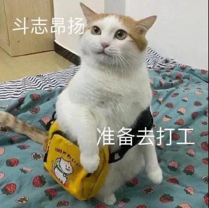 图片[2]-只想做你一个人的舔狗-喜欢表情包分享—全网表情包