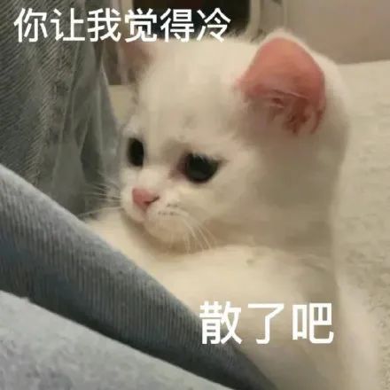 图片[3]-表情包-喜欢表情包分享—全网表情包