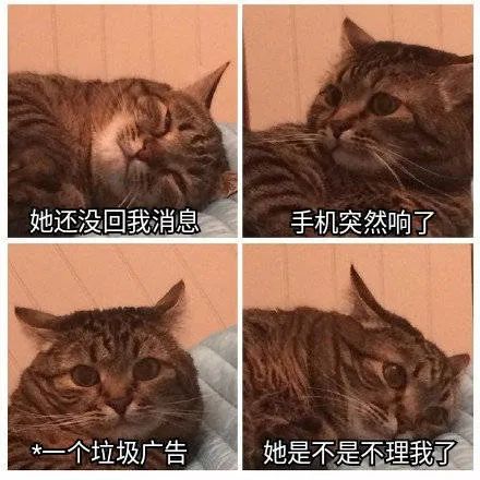 图片[16]-想老公 老婆-喜欢表情包分享—全网表情包
