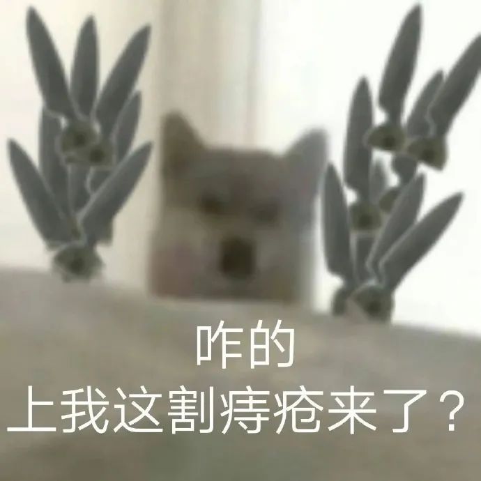 图片[16]-我就是缠你的身子-喜欢表情包分享—全网表情包